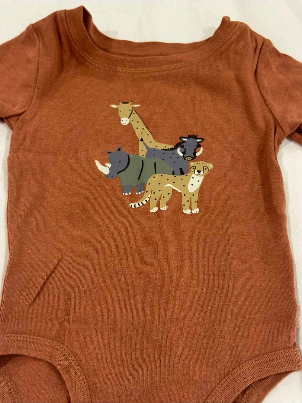 Carter's Rust Safari Animal Graphic matching Bodysuit and pants